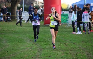 Retour cross et hors stade 25/26 novembre