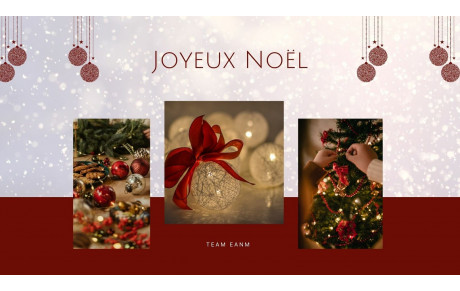 LA TEAM EANM VOUS SOUHAITE UN JOYEUX NOËL !